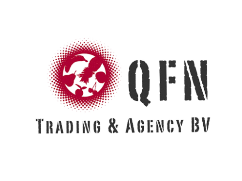 QFN