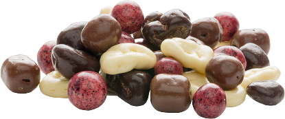 $aThemeProperties['company.name']