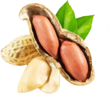 $aThemeProperties['company.name']